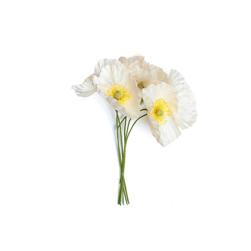 PAPAVERO BIANCO D7 H16